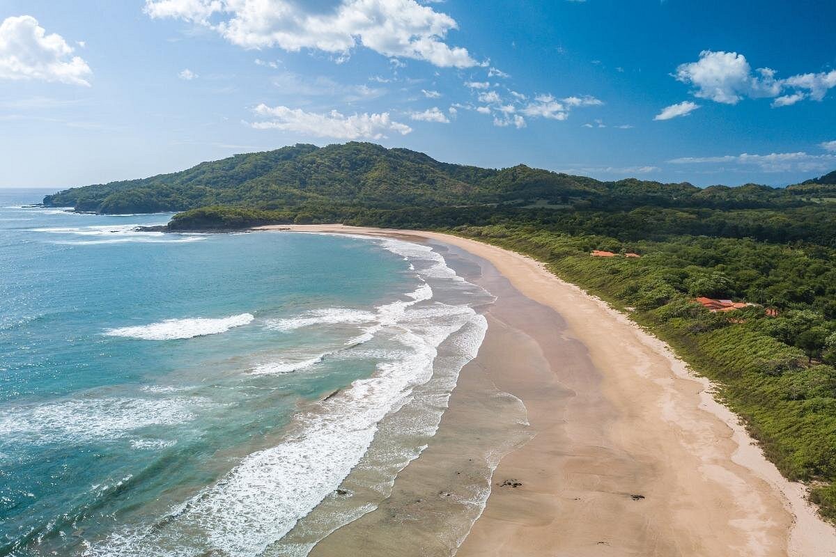Tamarindo